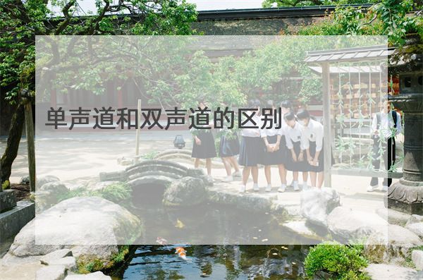 单声道和双声道的区别 